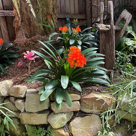 外科医生住宿加早餐旅馆 Morpeth 外观 照片