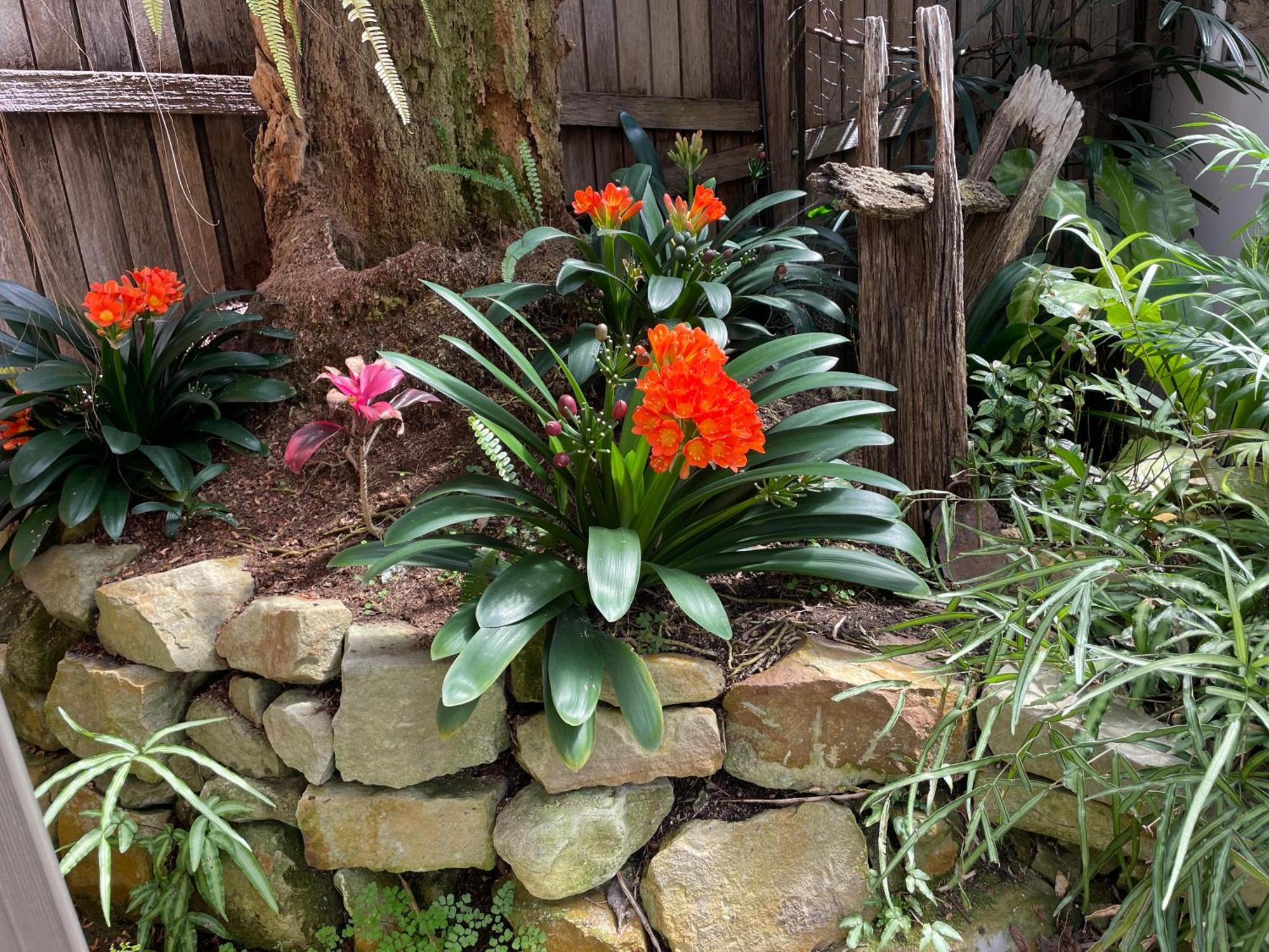 外科医生住宿加早餐旅馆 Morpeth 外观 照片